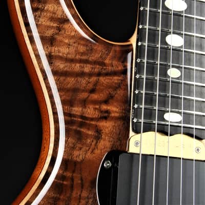 Alembic Darling - Fancy Walnut/Demo image 16