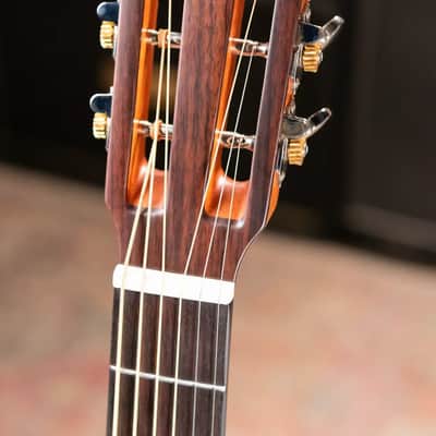 Alvarez AP66e Artist Series Acoustic/Electric Guitar - Shadowburst image 4