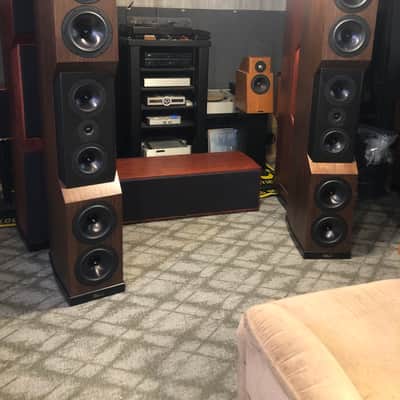 Tyler Acoustics  D1x mastering speakers special!! Free shipping image 1