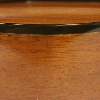 Anderwood LT-OMGE Electric Lap Steel Guitar, Great Condition, UK Made!!! #10548 image 7