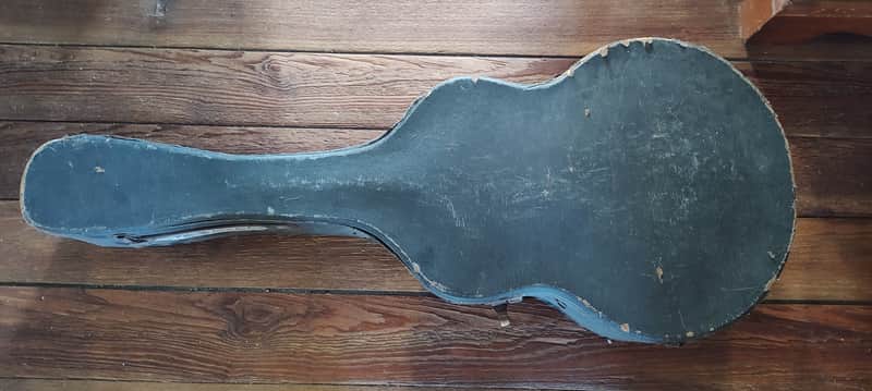 Old Lifton Guitar Case image 1