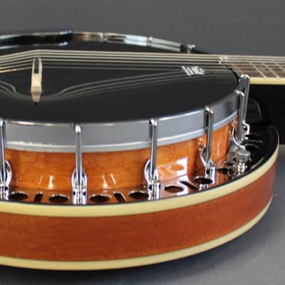 Epiphone Stagebird 6 String Electric Banjo image 7