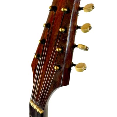 G. Kasermann Concert Mandolin (Apus Mark) 1920’s image 16