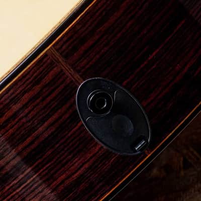 Taylor 914ce LTD 2024 image 10