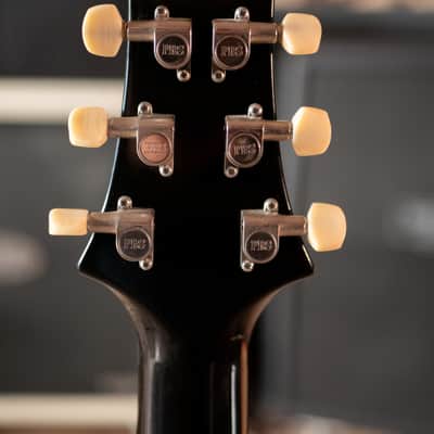 2007 PRS DGT David Grissom Tremolo Signature image 6
