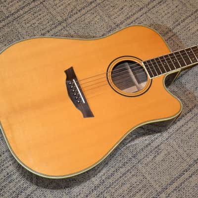 Parkwood PW560 Acoustic Guitar. Solid woods. Dove tail. Fishman Prefix. Hardshell case. Excellent. image 2