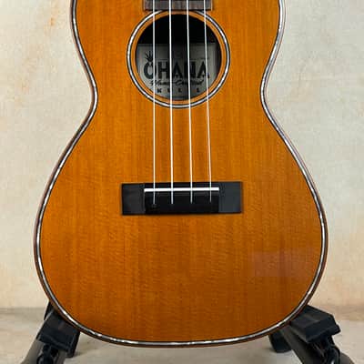 Gorgeous Ohana CK-50G Solid Cedar Top Concert Ukulele image 2