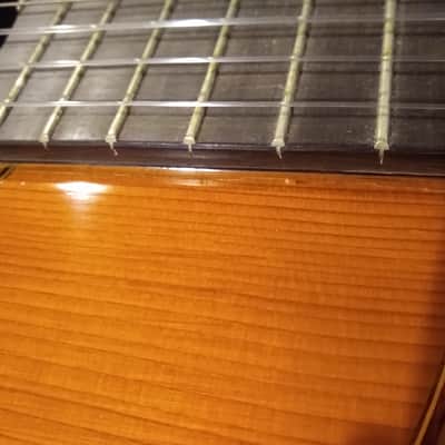 M.G. Contreras 1985 M-14 Spanish Classical Guitar (Guitarra Estudio) image 24