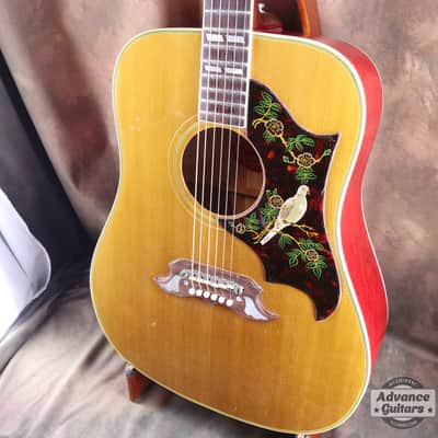 Gibson 1963 DOVE [Shipping Free〜8/31] image 9