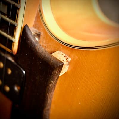 Fender D'Aquisto Elite Natural 1984 image 18