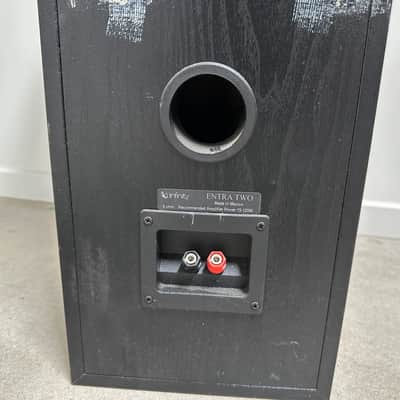 Infinity Entra Two Floorstanding Speakers (Pair) image 10