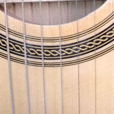 Rogue Acoustic/ Electric image 2