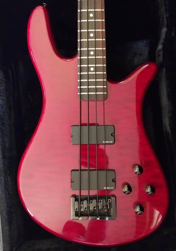 Spector Pro Q4 Made in Korea 2000's Era image 1