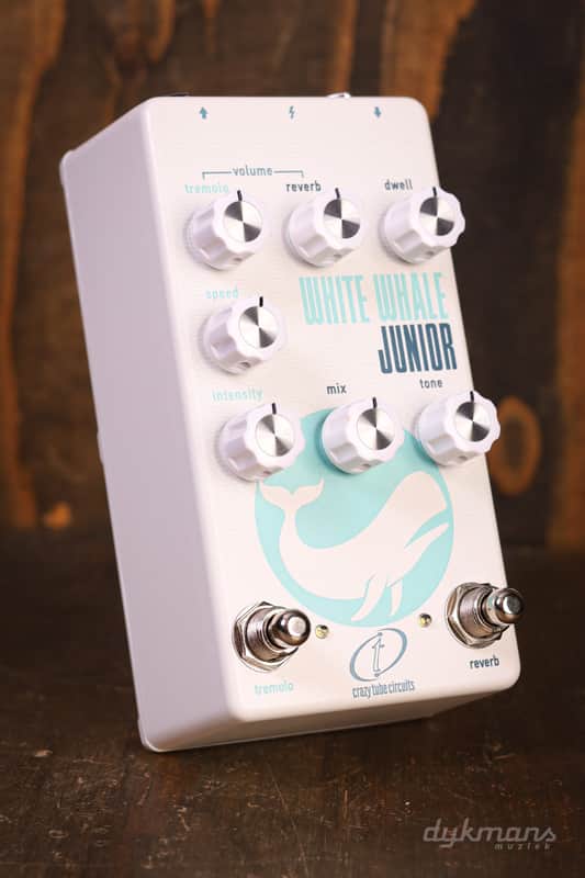 Crazy Tube Circuits White Whale Junior Spring Reverb image 1