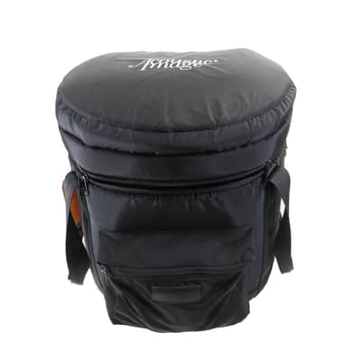 Acoustic Image Ten2 S4 631AA Double Bass Amp with Mooradian Bag image 1