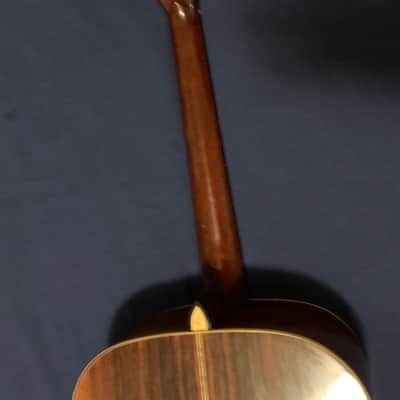 Washburn D-215-N 1988 - Natural image 9