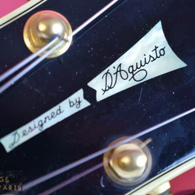 Vintage 1984 Fender D'Aquisto Elite Archtop 1st year example in very rare Blonde! image 8