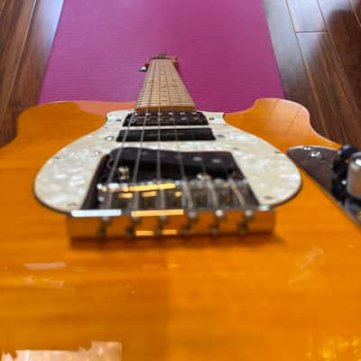 Samick Valley Arts Ray Benson Signature Series Telecaster image 14