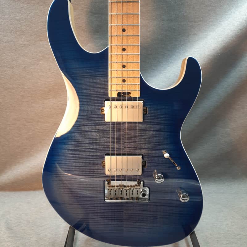 Cort G290 FAT image 1