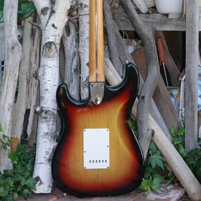 1978 Fender Stratocaster with Maple Fretboard Sunburst image 13