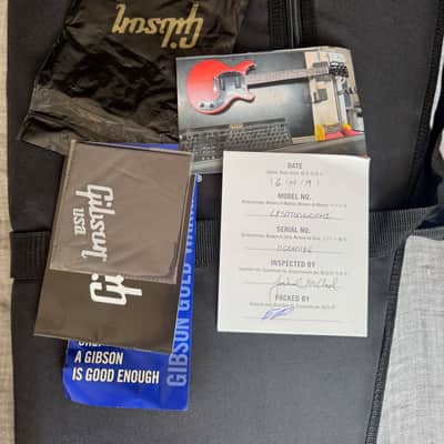 Gibson Les Paul Special Tribute DC 2019 - Worn Cherry image 15