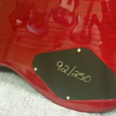 2001 PRS Brazilian Singlecut image 6