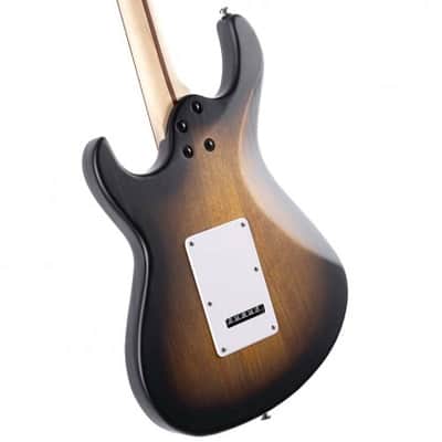 Cort G110 Open Pore Sunburst image 5