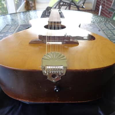 1960's Jackson Guldan Cittern - 10 Strings in B Tuning - Fifths Tuning image 13