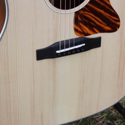 Eastman E1SS Ltd Edition image 6
