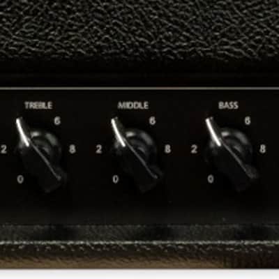 Friedman Steve Stevens SS-100 V2 Head SHOWROOM image 2