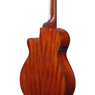 Ibanez AEG50N BK Nylon String - 4/4 classical guitar image 5