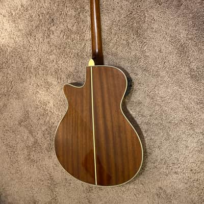 Ibanez AEG12II-NMH image 6