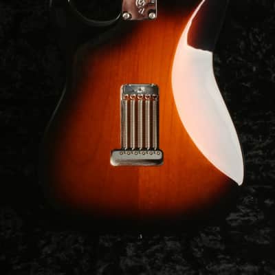 Fender Eric Johnson Stratocaster Maple Fingerboard 2-Color Sunburst EJ24317 image 2