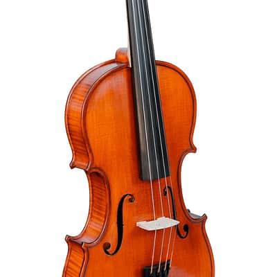 Bellafina Violin Outfit Domenico Model Oblong Case/Brazilwood Bow Regular 4/4 image 4