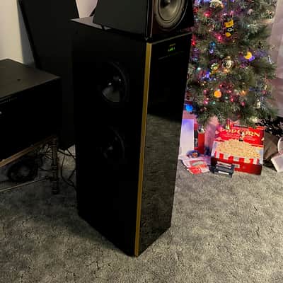 Meridian DSP6000 Floor Standing Speakers Late 90s Early 2000s Piano Black image 8