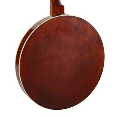 Richwood RMB-604 Tenor Banjo image 2