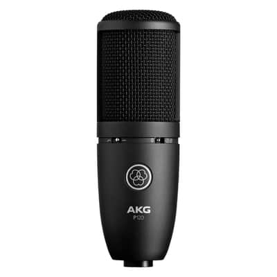 AKG P120 High Performance General-Purpose Recording 2/3" Diaphragm Condenser Microphone image 1