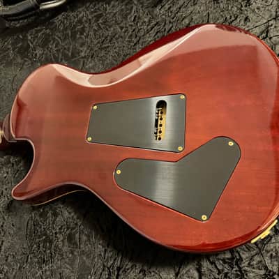 PRS Artist Package Single Cut Trem 20th Anniversary BRF 2006 - Tortoise Shell image 4