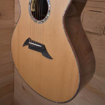 Breedlove Masterclass Concerto CE 2022 - Brazilian Rosewood/Bearclaw Sitka USA image 3