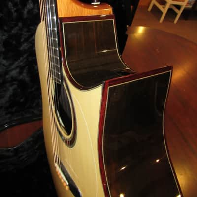 Wilborn MD Bucephalus Warhorse *Adirondack/Brazilian* One of a kind* VIDEO* image 5