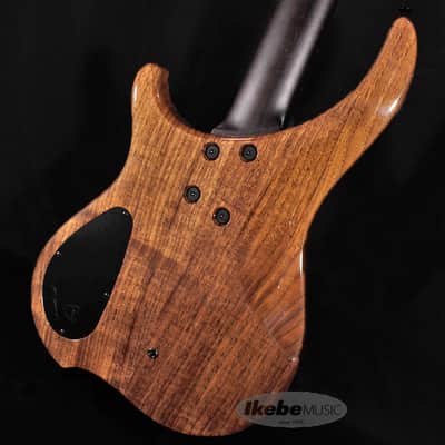 DINGWALL AfterBurner II 5st Fretless -Claro Walnut Top/Walnut Back/Wenge Neck- (Special Price) image 5