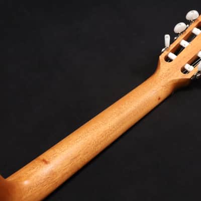 Taylor Academy 12e-N Grand Concert Acoustic-Electric Guitar Natural 065 image 6