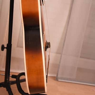 Fasan Antoria – 1960s German Vintage Archtop Jazz Guitar / Gitarre image 10