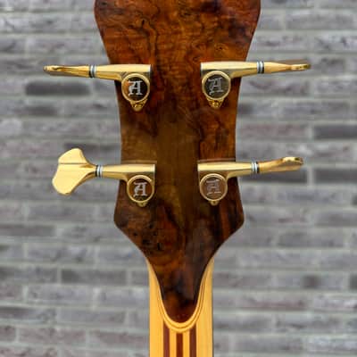 Alembic Custom EvH Signature Series II Superfilter image 13
