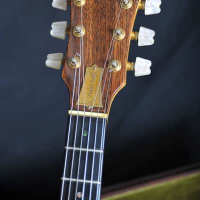 Ibanez Musician MC500 image 8