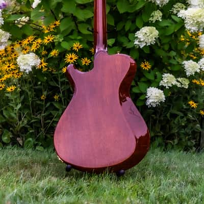 Knaggs Chena Tier 1/Pink Coral/SSC Neck image 7