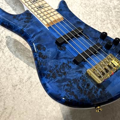 Spector Euro 5 CST Black & Blue w/White Back Gloss [3.98kg] image 6