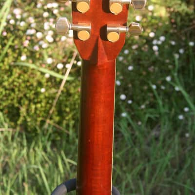 Morris TF-60 D size Guitar Jacaranda Body 1990's - Natural+Hard Case FREE image 9
