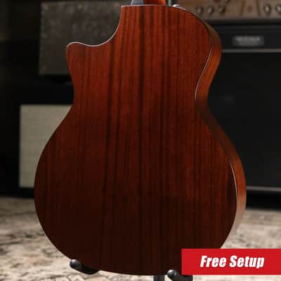 Taylor 314ce-N Grand Auditorium Nylon Acoustic/Electric Guitar with Hardshell Case image 2