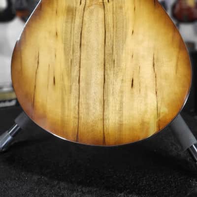 Breedlove ECO Pursuit Exotic S Concert CE Acoustic-electric - Amber Myrtlewood Auth Dealer! 743 image 9